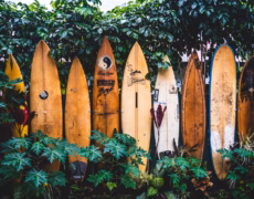 Los mejores disfraces de hawaianos para hombre: encuentra tu look en nuestra tienda de disfraces